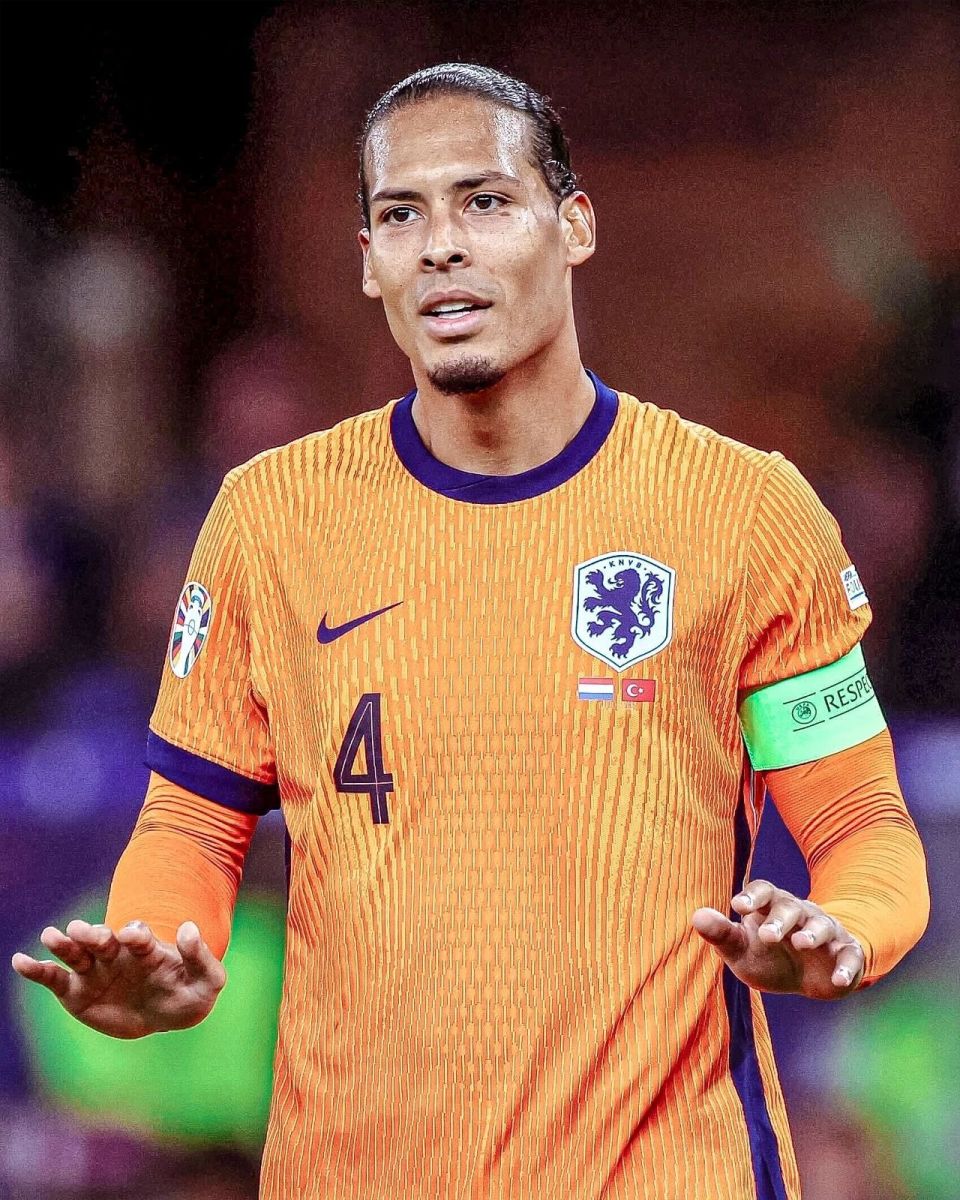 的情感联结 的情感联结