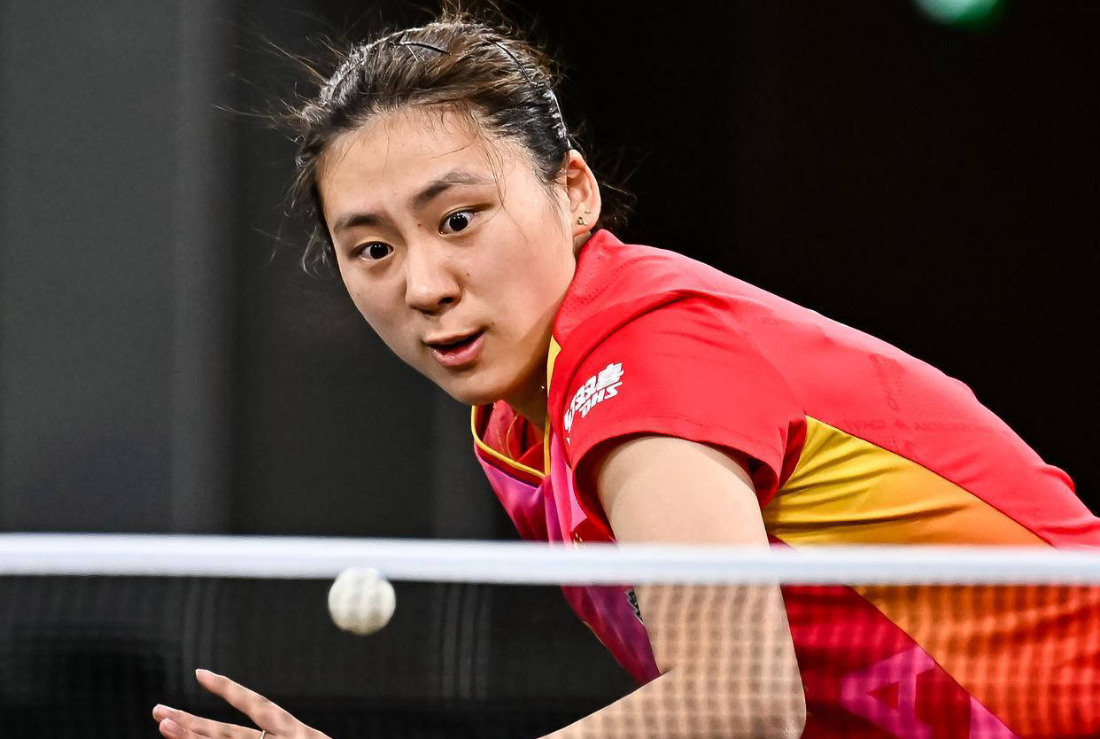 引入了诸多 引入了诸多