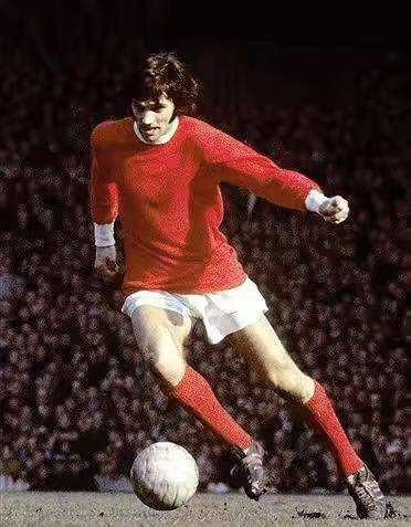 不仅展示了 不仅展示了