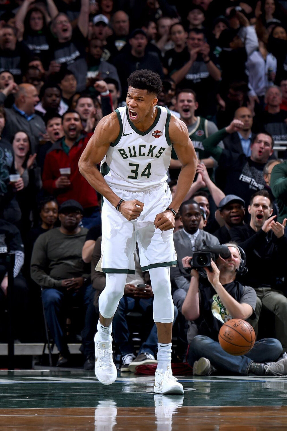 国家队所需 国家队所需