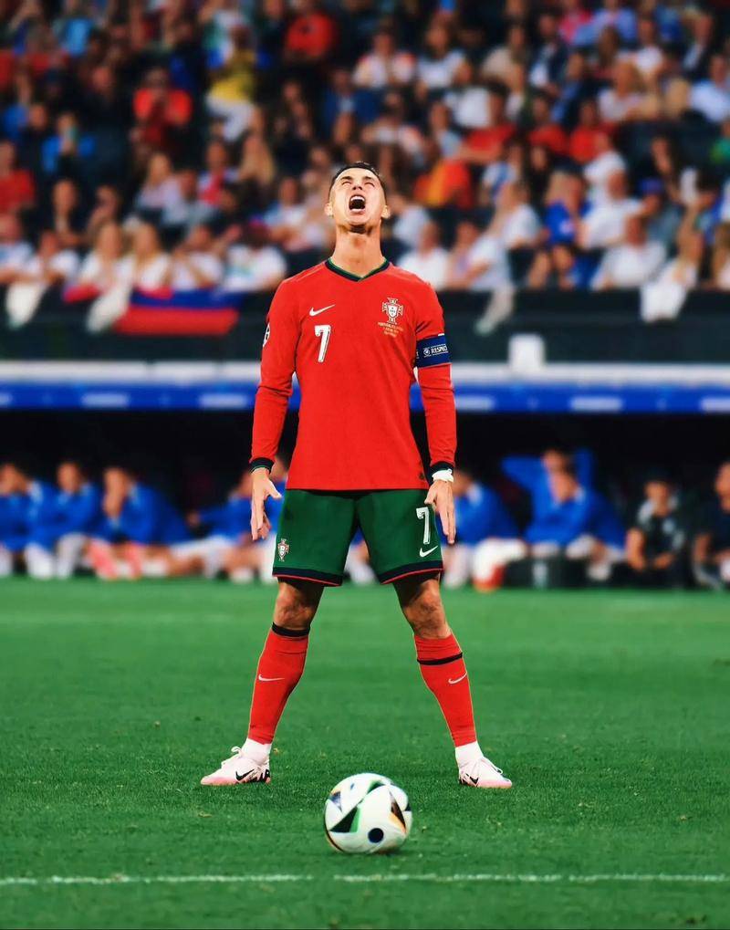 优势体现在 优势体现在